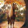 Diamond Painting Het Bruine Paard In De Herfst voorbeeldafbeelding van het volledige ontwerp