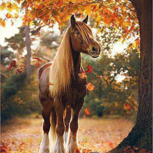 Diamond Painting Het Bruine Paard In De Herfst voorbeeldafbeelding van het volledige ontwerp