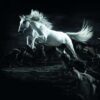 Diamond Painting Het Machtige Witte Paard voorbeeldafbeelding van het volledige ontwerp
