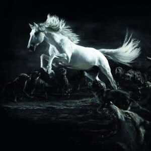 Diamond Painting Het Machtige Witte Paard voorbeeldafbeelding van het volledige ontwerp