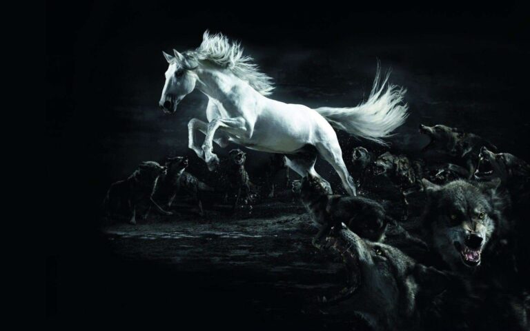 Diamond Painting Het Machtige Witte Paard voorbeeldafbeelding van het volledige ontwerp