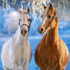 Diamond Painting Het Witte En Bruine Paard Winter voorbeeldafbeelding van het volledige ontwerp