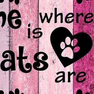 Diamond Painting Home Is Where My Cats Are voorbeeldafbeelding van het volledige ontwerp