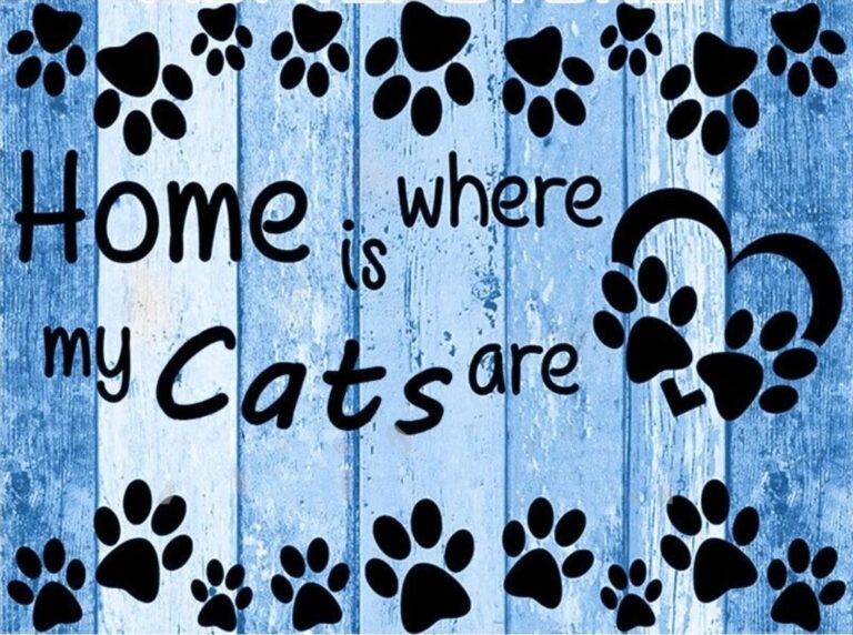 Diamond Painting Home Is Where My Cats Are Blauw voorbeeldafbeelding van het volledige ontwerp