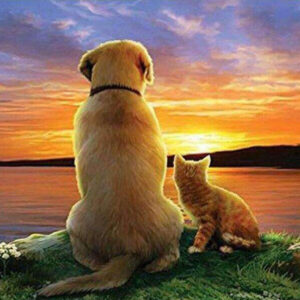 Diamond Painting Hond En Kat bij Zonsondergang voorbeeldafbeelding van het volledige ontwerp