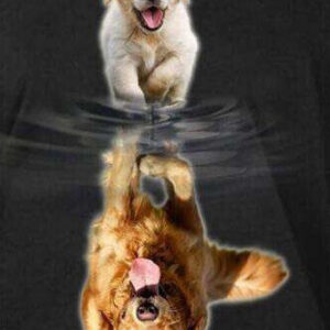 Diamond Painting Honden Reflectie voorbeeldafbeelding van het volledige ontwerp
