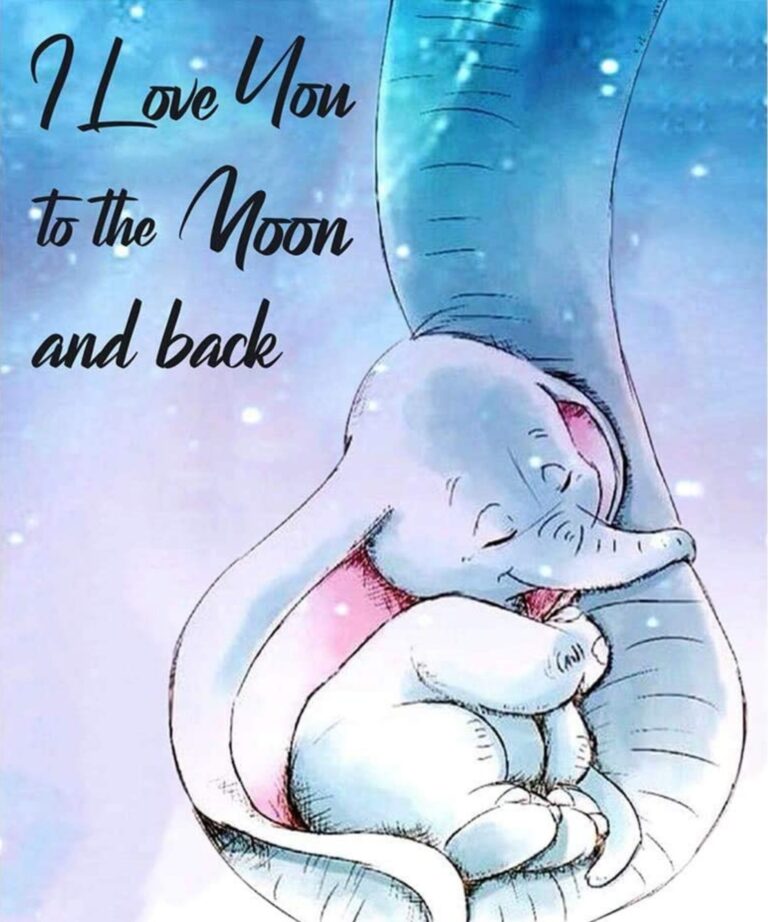 Diamond Painting I Love You to the Moon and Back Aurora Borealis voorbeeldafbeelding van het volledige ontwerp