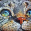 Diamond Painting - Kattenogen van dichtbij voorbeeldafbeelding van het volledige ontwerp