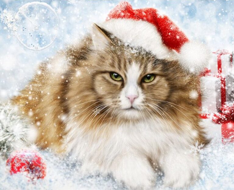 Diamond Painting - Langharige kerstkat voorbeeldafbeelding van het volledige ontwerp