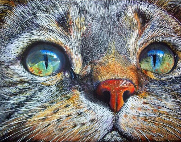 Diamond Painting - Kattenogen van dichtbij voorbeeldafbeelding van het volledige ontwerp
