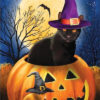 Diamond Painting Kat Eekhoorn Halloween voorbeeldafbeelding van het volledige ontwerp