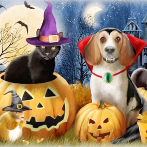 Diamond Painting Kat & Hond Halloween voorbeeldafbeelding van het volledige ontwerp