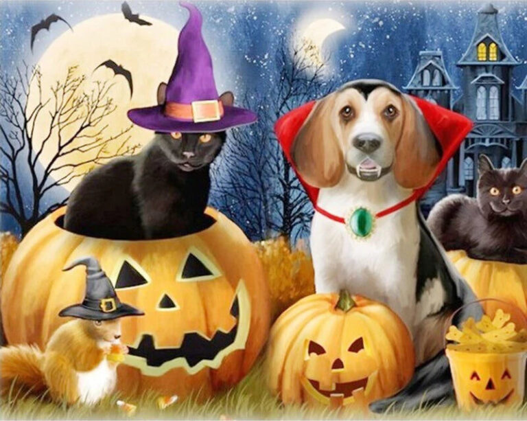 Diamond Painting Kat & Hond Halloween voorbeeldafbeelding van het volledige ontwerp