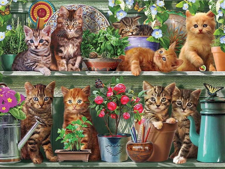 Diamond Painting Katten In Tuinkast voorbeeldafbeelding van het volledige ontwerp
