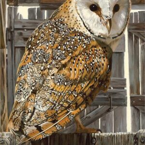 Diamond Painting Kerkuil voorbeeldafbeelding van het volledige ontwerp