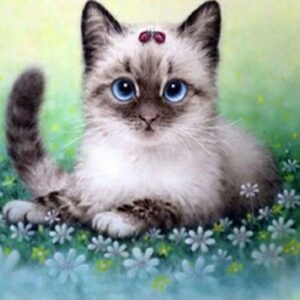 Diamond Painting Kitten Lieveheersbeestje voorbeeldafbeelding van het volledige ontwerp