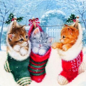 Diamond Painting Kittens In Kerstsok voorbeeldafbeelding van het volledige ontwerp