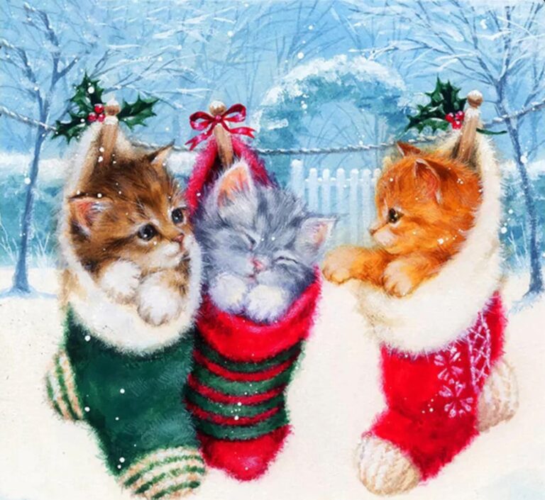 Diamond Painting Kittens In Kerstsok voorbeeldafbeelding van het volledige ontwerp