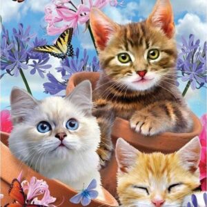Diamond Painting Kittens Vlinders voorbeeldafbeelding van het volledige ontwerp
