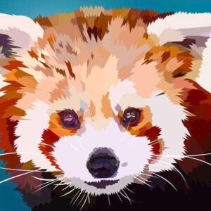 Diamond Painting Kleine Panda Elvira Clement voorbeeldafbeelding van het volledige ontwerp