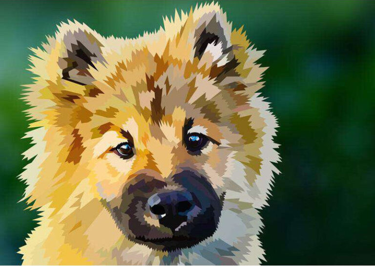 Diamond Painting Kleine Pup Elvira Clement voorbeeldafbeelding van het volledige ontwerp