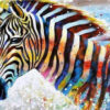 Diamond Painting Kleurrijke Zebra voorbeeldafbeelding van het volledige ontwerp