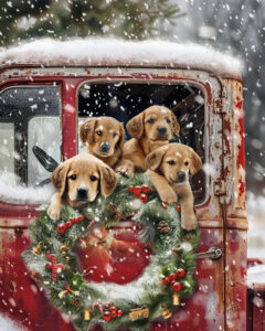 Diamond Painting – Labradors in de rode vrachtwagen
