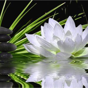 Diamond Painting Lotusbloem voorbeeldafbeelding van het volledige ontwerp