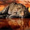 Diamond Painting Luipaard Reflectie In Water voorbeeldafbeelding van het volledige ontwerp