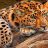 Diamond Painting Luipaard Tak voorbeeldafbeelding van het volledige ontwerp