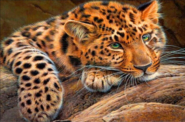 Diamond Painting Luipaard Tak voorbeeldafbeelding van het volledige ontwerp