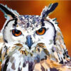 Diamond Painting Machtige Oehoe Elvira Clement voorbeeldafbeelding van het volledige ontwerp