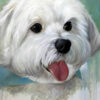 Diamond Painting Maltezer voorbeeldafbeelding van het volledige ontwerp