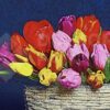 Diamond Painting Mand Vol Met Bloemen HP Design voorbeeldafbeelding van het volledige ontwerp