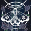 Diamond Painting Mot - by Anneke Schipper voorbeeldafbeelding van het volledige ontwerp