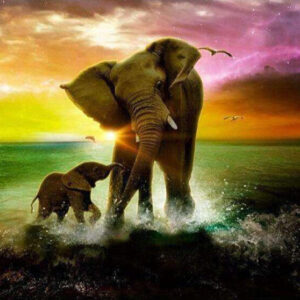 Diamond Painting Olifant In De Zee voorbeeldafbeelding van het volledige ontwerp