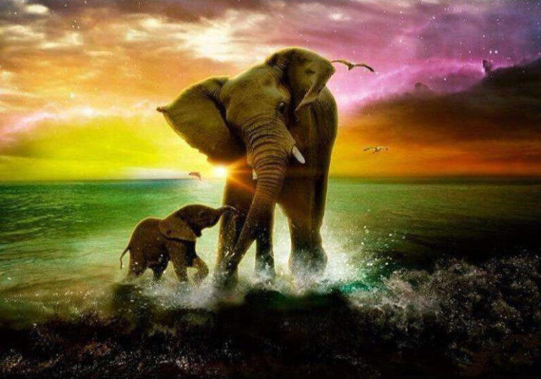 Diamond Painting Olifant In De Zee voorbeeldafbeelding van het volledige ontwerp
