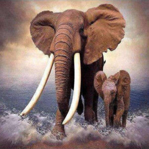 Diamond Painting Olifant Met kleintje In Het Water voorbeeldafbeelding van het volledige ontwerp