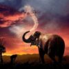 Diamond Painting Olifant Neemt Een Douche voorbeeldafbeelding van het volledige ontwerp