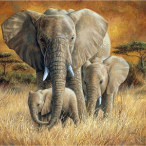 Diamond Painting Olifanten voorbeeldafbeelding van het volledige ontwerp