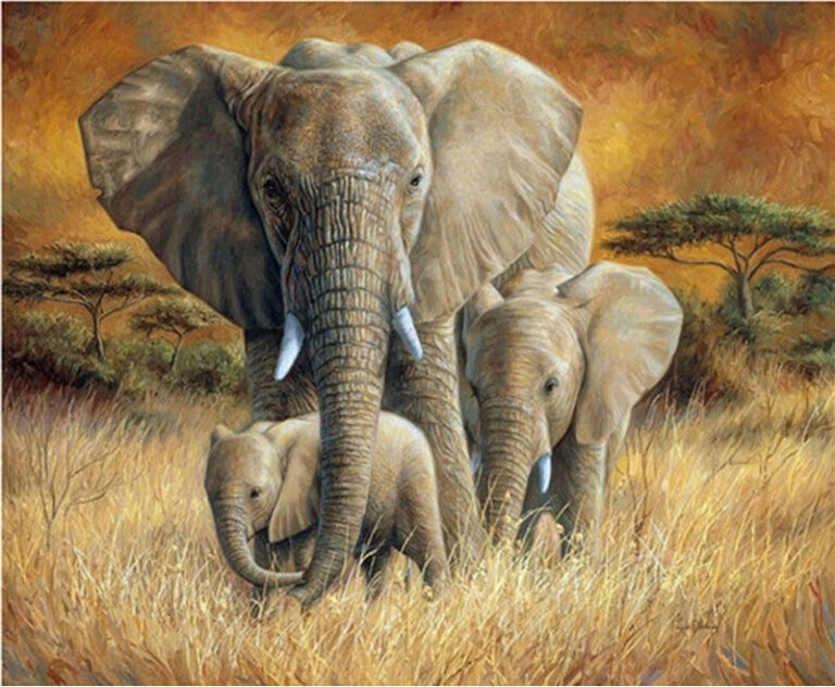 Diamond Painting Olifanten voorbeeldafbeelding van het volledige ontwerp