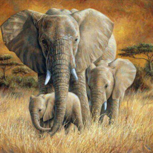 Diamond Painting Olifanten Familie In Het Gras voorbeeldafbeelding van het volledige ontwerp