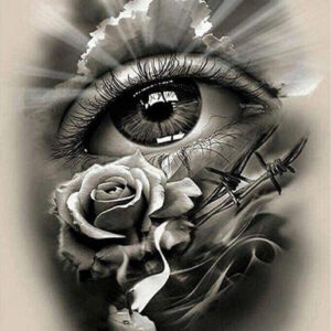 Diamond Painting Oog - Roos voorbeeldafbeelding van het volledige ontwerp