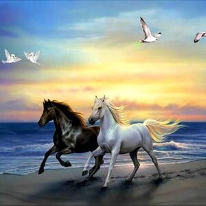 Diamond Painting Paard voorbeeldafbeelding van het volledige ontwerp