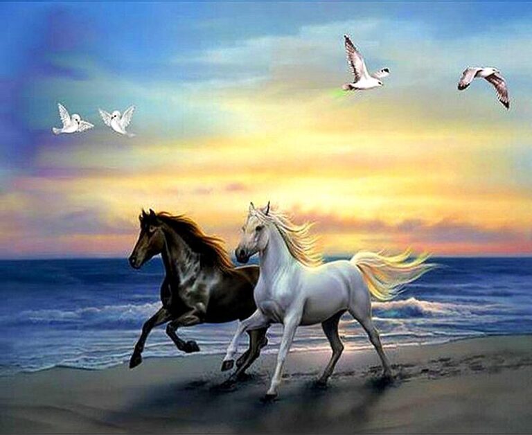Diamond Painting Paard voorbeeldafbeelding van het volledige ontwerp