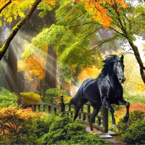 Diamond Painting Paard In De Herfst voorbeeldafbeelding van het volledige ontwerp