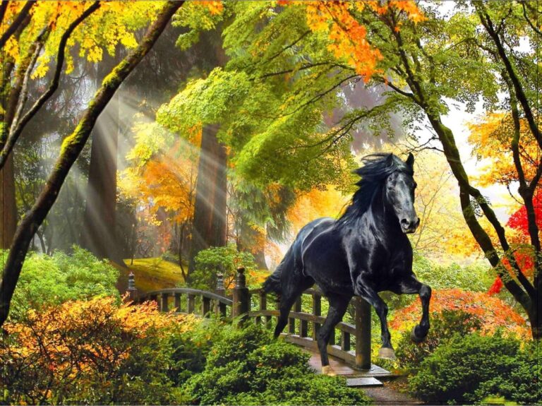 Diamond Painting Paard In De Herfst voorbeeldafbeelding van het volledige ontwerp