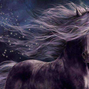Diamond Painting Paard In De Nacht voorbeeldafbeelding van het volledige ontwerp