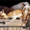 Diamond Painting Paarden voorbeeldafbeelding van het volledige ontwerp
