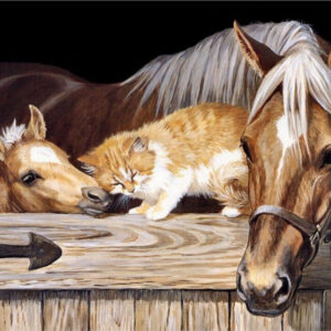 Diamond Painting Paarden voorbeeldafbeelding van het volledige ontwerp
